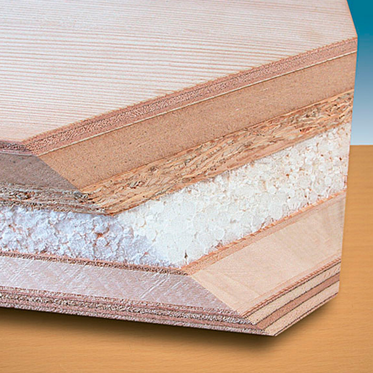 CE223X MULTIPLE PLANER 120V USA