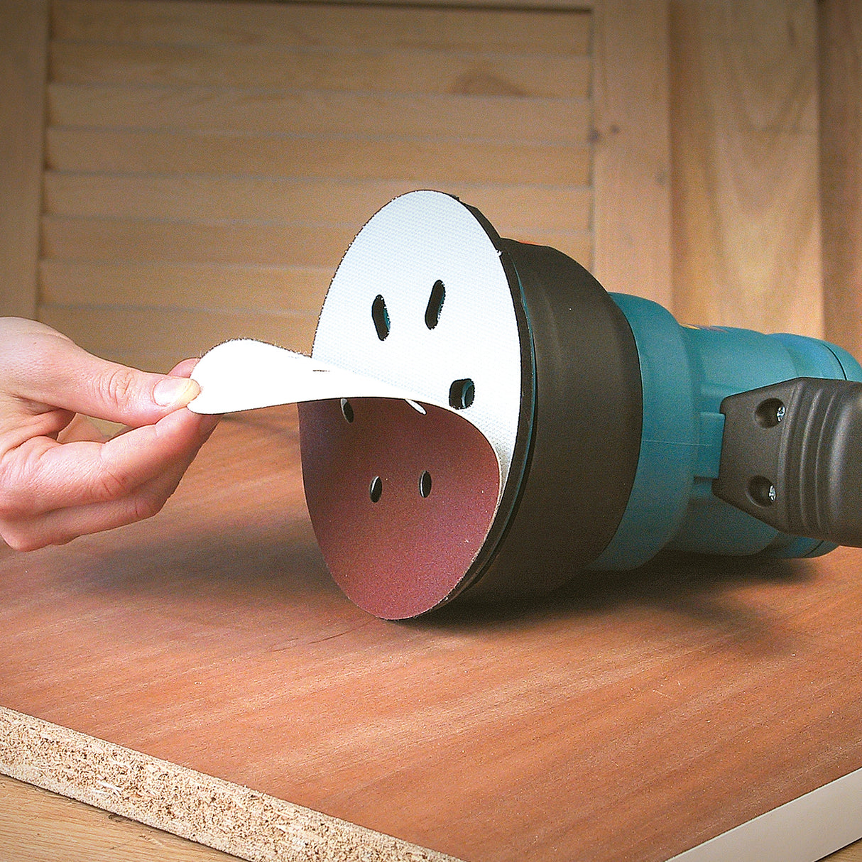 RTE146L ELEC. ROTARY ORBITAL SANDER 120V