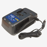 CHARGER CH80 20V